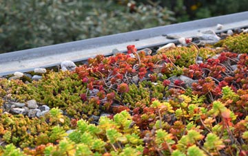 the cost of Milford Haven green roof installation