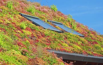 Milford Haven living roof systems