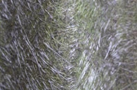 Milford Haven fibreglass roof work